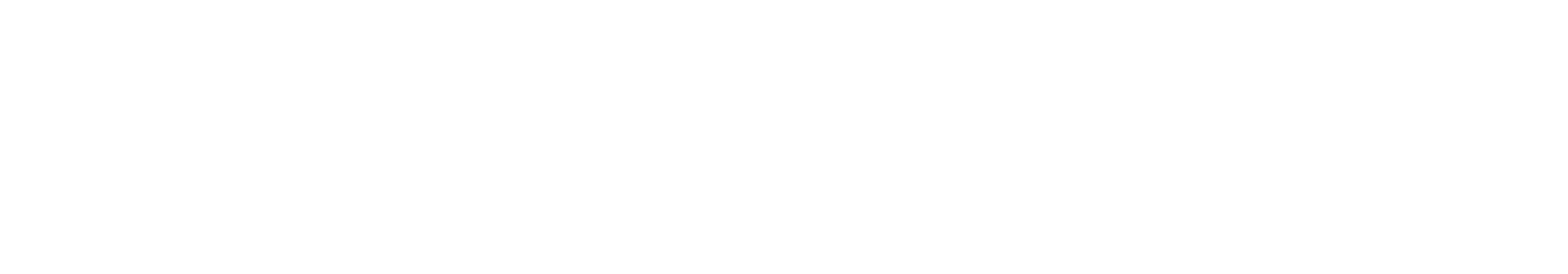 CNFA Logo